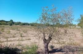 Land Palmela Land Palmela