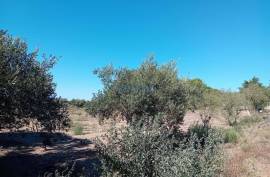 Land Palmela Land Palmela