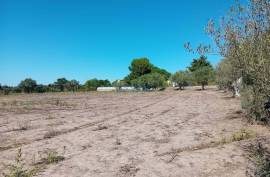 Land Palmela Land Palmela