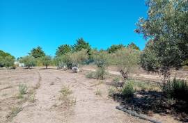 Land Palmela Land Palmela