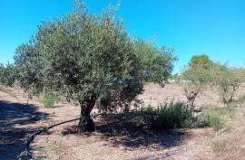 Land Palmela Land Palmela