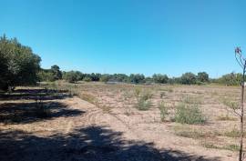 Land Palmela Land Palmela