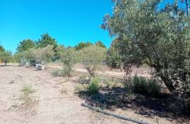 Land Palmela Land Palmela