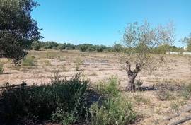 Land Palmela Land Palmela