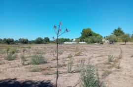 Land Palmela Land Palmela