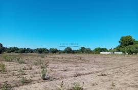 Land Palmela Land Palmela