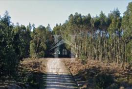 Terreno Rústico em Ramalhal a 10 minutos de Torres Vedras