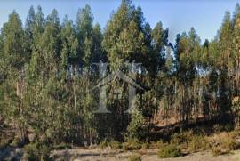 Terreno Rústico em Ramalhal a 10 minutos de Torres Vedras