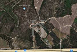 Terreno Rústico em Ramalhal a 10 minutos de Torres Vedras