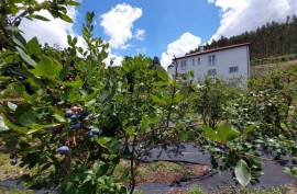 Luxury 3 Bed Villa For Sale In Ribeiradio Portugal