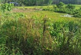 Excellent Plot of land for sale in Hawilian Agusan del Sur