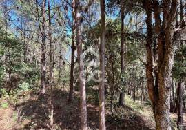 Land for sale - Casal do Clérigo (Salir de Matos)