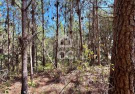 Land for sale - Casal do Clérigo (Salir de Matos)