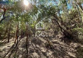 Land for sale - Casal do Clérigo (Salir de Matos)