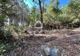Land for sale - Casal do Clérigo (Salir de Matos)
