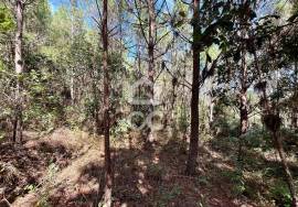 Land for sale - Casal do Clérigo (Salir de Matos)