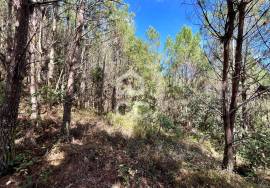 Land for sale - Casal do Clérigo (Salir de Matos)