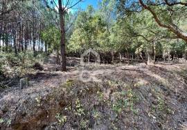 Land for sale - Casal do Clérigo (Salir de Matos)