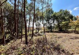 Land for sale - Casal do Clérigo (Salir de Matos)