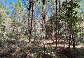 Land for sale - Casal do Clérigo (Salir de Matos)