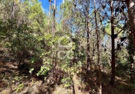 Land for sale - Casal do Clérigo (Salir de Matos)