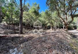 Land for sale - Casal do Clérigo (Salir de Matos)