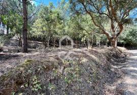 Land for sale - Casal do Clérigo (Salir de Matos)