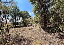 Land for sale - Casal do Clérigo (Salir de Matos)