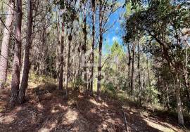 Land for sale - Casal do Clérigo (Salir de Matos)