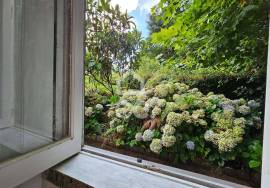 House with 3+2 Bedrooms - Matriz - Ribeira Grande