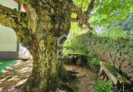 House with 3+2 Bedrooms - Matriz - Ribeira Grande