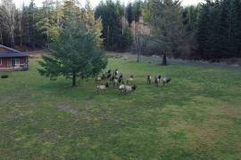 Estate For Sale In Vancouver Island British Columbia