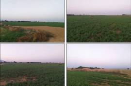 2 plots of Beachfront Development Land For Sale in Mazotos