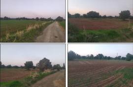 2 plots of Beachfront Development Land For Sale in Mazotos