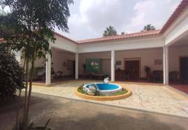 Farm T5 in Vidigueira