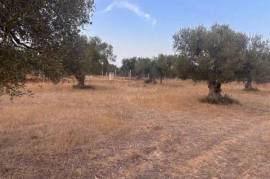 Land-Plot for sale in Chatt-Meriem Tunisia