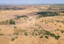Land Reguengos de Monsaraz