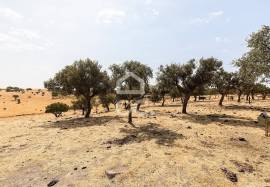 Land Reguengos de Monsaraz