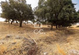 Land Reguengos de Monsaraz