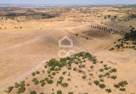 Land Reguengos de Monsaraz