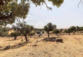 Land Reguengos de Monsaraz