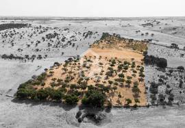 Land Reguengos de Monsaraz
