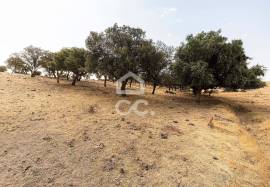 Land Reguengos de Monsaraz