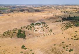 Land Reguengos de Monsaraz