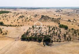 Land Reguengos de Monsaraz