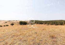 Land Reguengos de Monsaraz