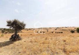 Land Reguengos de Monsaraz