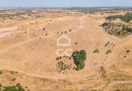 Land Reguengos de Monsaraz