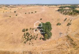Land Reguengos de Monsaraz