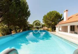 Farmhouse Montemor-o-Novo Lavre